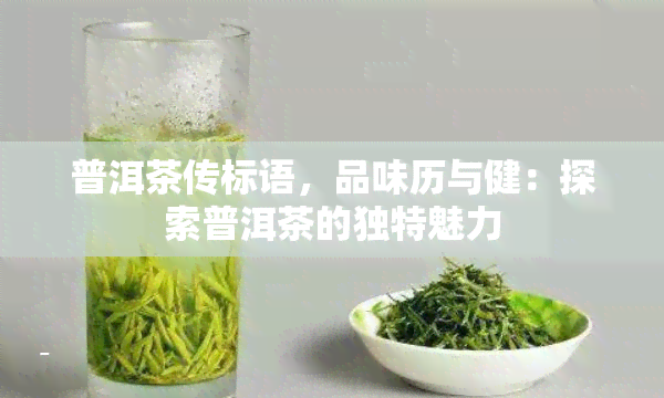 普洱茶传标语，品味历与健：探索普洱茶的独特魅力