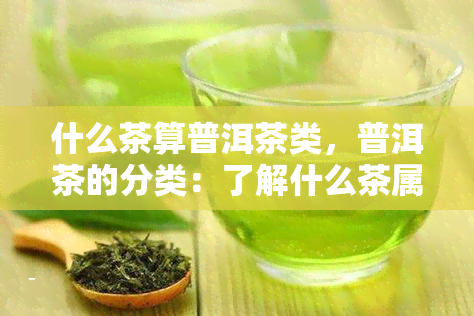 什么茶算普洱茶类，普洱茶的分类：了解什么茶属于普洱茶类