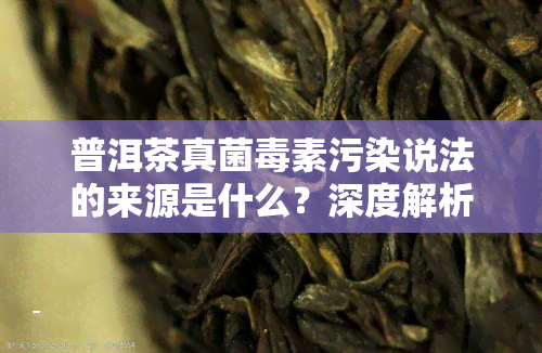 普洱茶真菌素污染说法的来源是什么？深度解析