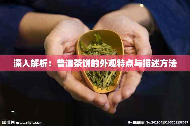 深入解析：普洱茶饼的外观特点与描述方法