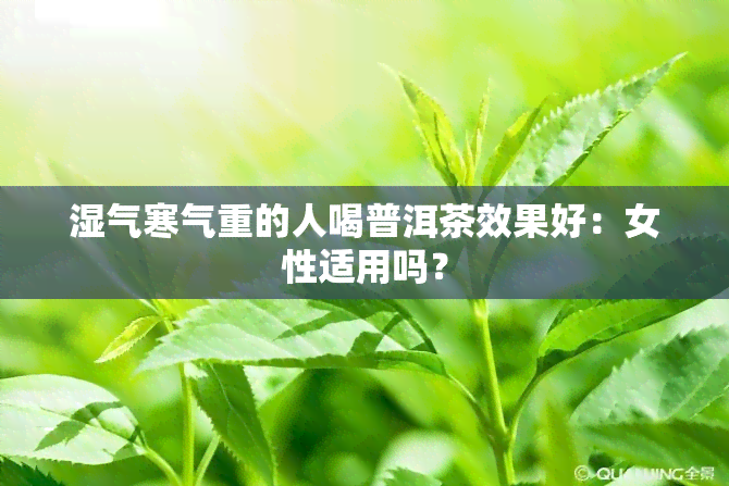 湿气寒气重的人喝普洱茶效果好：女性适用吗？