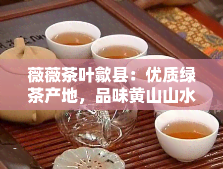 薇薇茶叶歙县：优质绿茶产地，品味黄山山水韵味