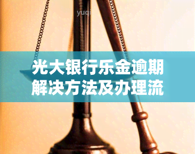 光大银行乐金逾期解决方法及办理流程全攻略