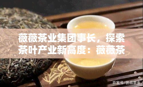 薇薇茶业集团事长，探索茶叶产业新高度：薇薇茶业集团事长分享企业发展经验