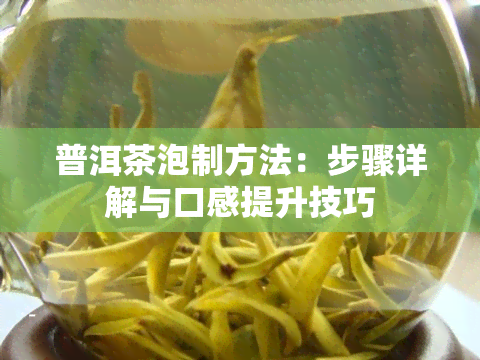 普洱茶泡制方法：步骤详解与口感提升技巧