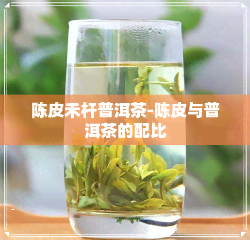 陈皮禾杆普洱茶-陈皮与普洱茶的配比