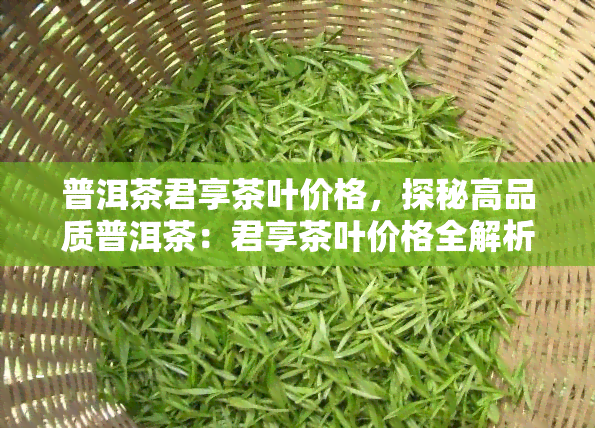 普洱茶君享茶叶价格，探秘高品质普洱茶：君享茶叶价格全解析