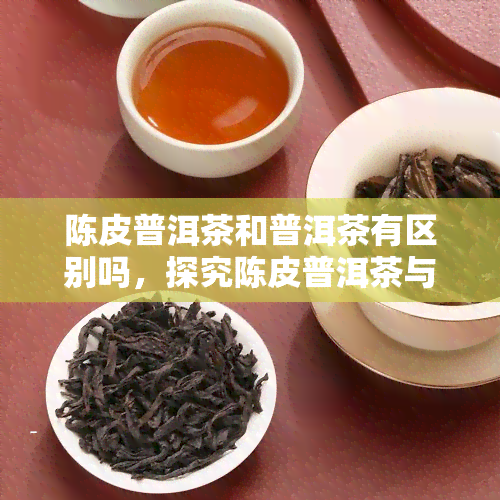 陈皮普洱茶和普洱茶有区别吗，探究陈皮普洱茶与普通普洱茶的异同：有何区别？