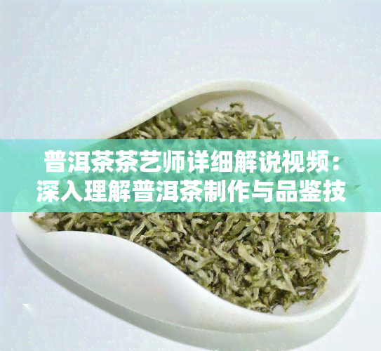 普洱茶茶艺师详细解说视频：深入理解普洱茶制作与品鉴技艺