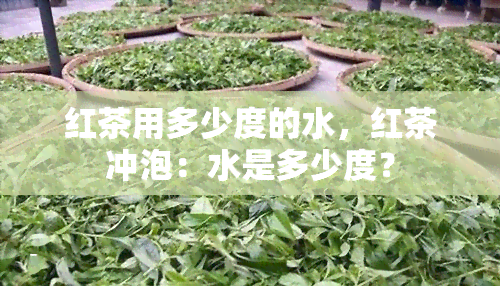 红茶用多少度的水，红茶冲泡：水是多少度？