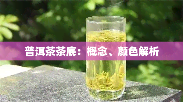 普洱茶茶底：概念、颜色解析