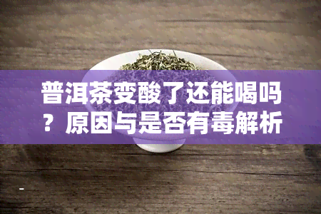 普洱茶变酸了还能喝吗？原因与是否有解析