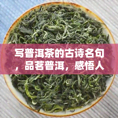 写普洱茶的古诗名句，品茗普洱，感悟人生：精选普洱茶古诗名句