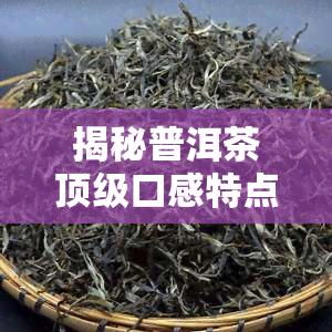 揭秘普洱茶顶级口感特点：独特韵味与时间的艺术