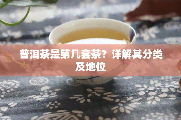 普洱茶是第几套茶？详解其分类及地位