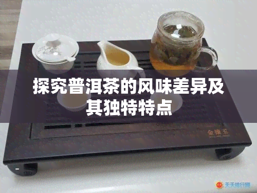 探究普洱茶的风味差异及其独特特点