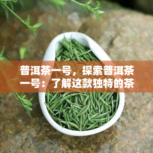 普洱茶一号，探索普洱茶一号：了解这款独特的茶叶品种