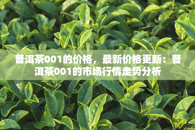 普洱茶001的价格，最新价格更新：普洱茶001的市场行情走势分析