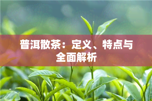 普洱散茶：定义、特点与全面解析