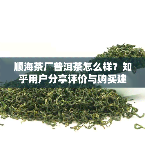 顺海茶厂普洱茶怎么样？知乎用户分享评价与购买建议