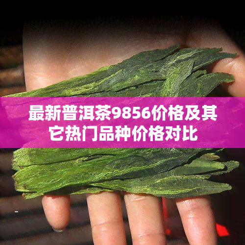 最新普洱茶9856价格及其它热门品种价格对比