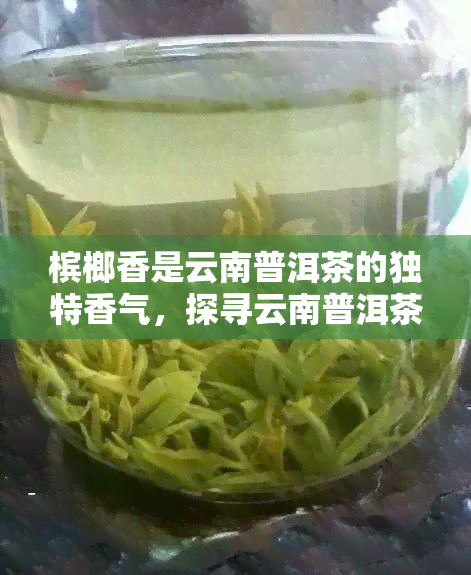 槟榔香是云南普洱茶的独特香气，探寻云南普洱茶的独特色香味：槟榔香