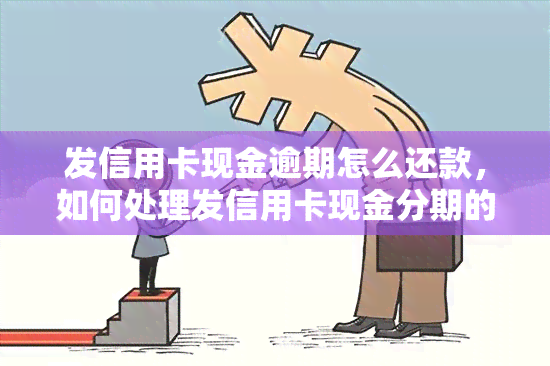 发信用卡现金逾期怎么还款，如何处理发信用卡现金分期的逾期还款？