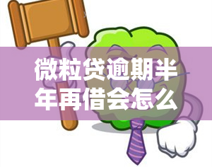 微粒贷逾期半年再借会怎么样，逾期半年后再次申请微粒贷，会对您产生什么影响？