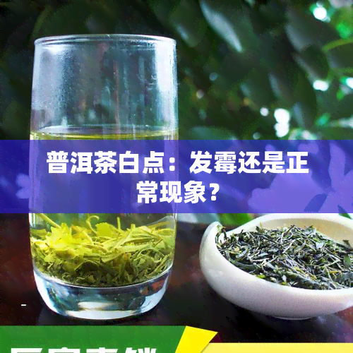 普洱茶白点：发霉还是正常现象？