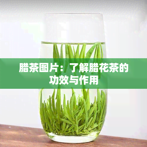 腊茶图片：了解腊花茶的功效与作用