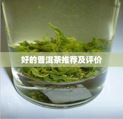 好的普洱茶推荐及评价