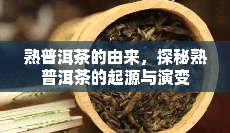 熟普洱茶的由来，探秘熟普洱茶的起源与演变