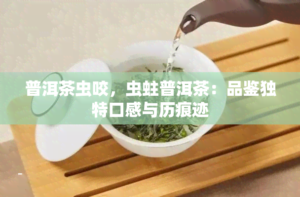 普洱茶虫咬，虫蛀普洱茶：品鉴独特口感与历痕迹