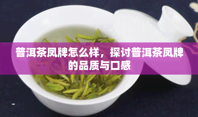 普洱茶凤牌怎么样，探讨普洱茶凤牌的品质与口感