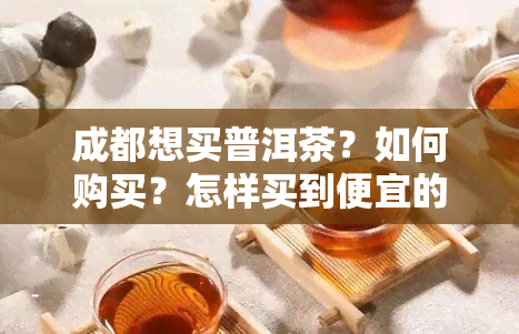 成都想买普洱茶？如何购买？怎样买到便宜的普洱茶？