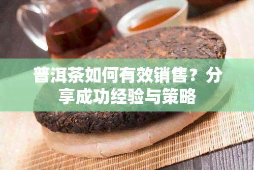 普洱茶如何有效销售？分享成功经验与策略