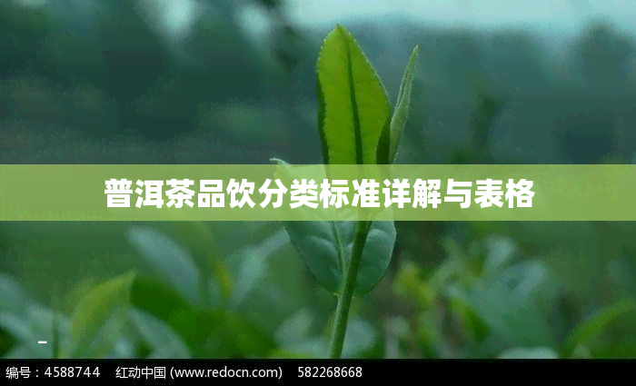 普洱茶品饮分类标准详解与表格