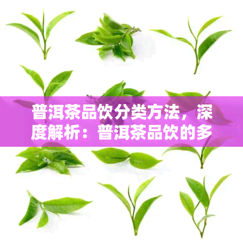 普洱茶品饮分类方法，深度解析：普洱茶品饮的多种分类方法