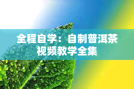 全程自学：自制普洱茶视频教学全集