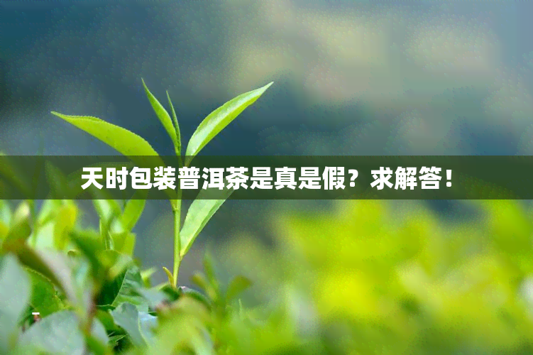 天时包装普洱茶是真是假？求解答！