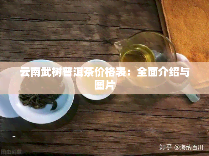 云南武树普洱茶价格表：全面介绍与图片