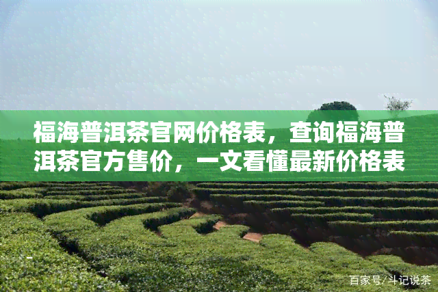 福海普洱茶官网价格表，查询福海普洱茶官方售价，一文看懂最新价格表！