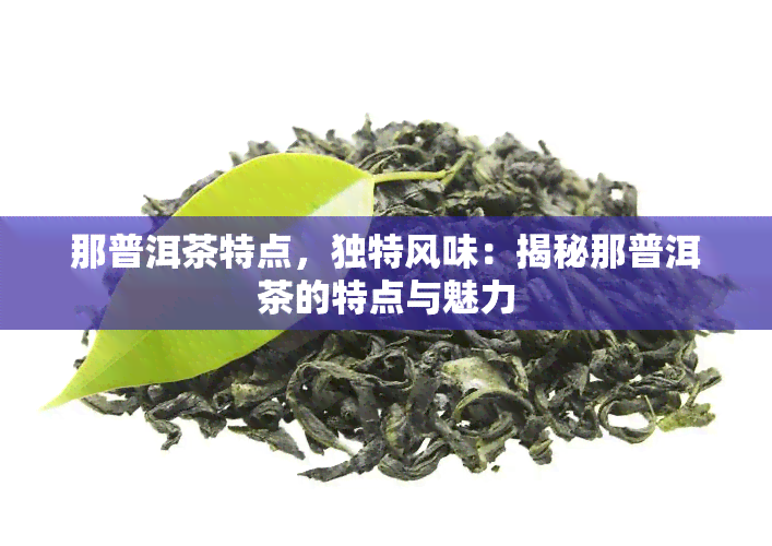 那普洱茶特点，独特风味：揭秘那普洱茶的特点与魅力