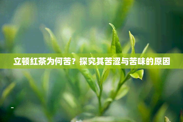 立顿红茶为何苦？探究其苦涩与苦味的原因