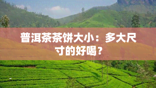 普洱茶茶饼大小：多大尺寸的好喝？