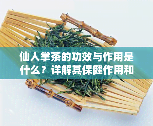 仙人掌茶的功效与作用是什么？详解其保健作用和饮用方法