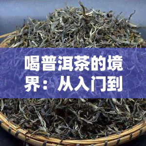 喝普洱茶的境界：从入门到精通的位等级解析