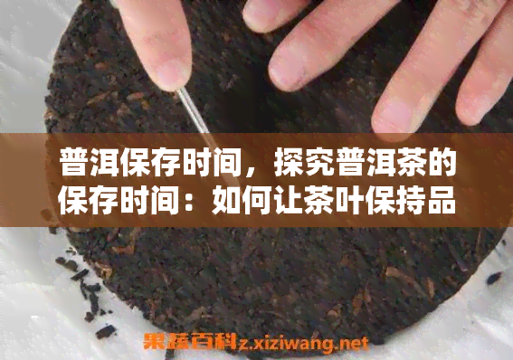 普洱保存时间，探究普洱茶的保存时间：如何让茶叶保持品质？