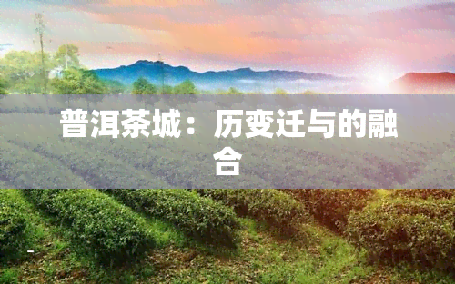 普洱茶城：历变迁与的融合