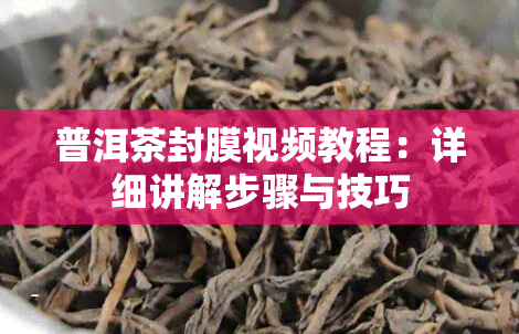 普洱茶封膜视频教程：详细讲解步骤与技巧